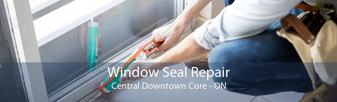 Window Seal Repair Central Downtown Core - ON