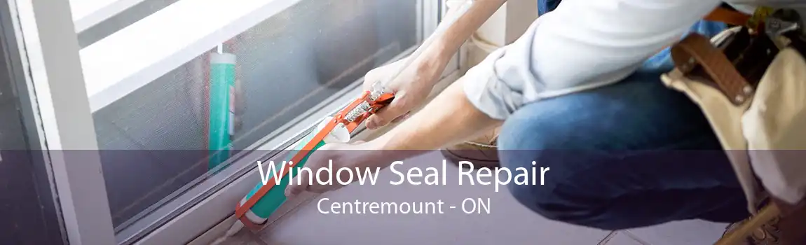 Window Seal Repair Centremount - ON
