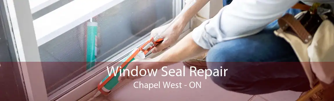Window Seal Repair Chapel West - ON
