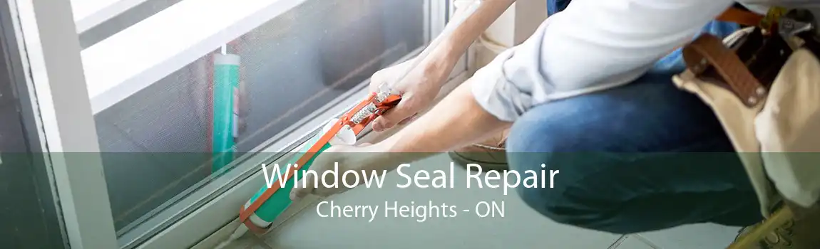 Window Seal Repair Cherry Heights - ON