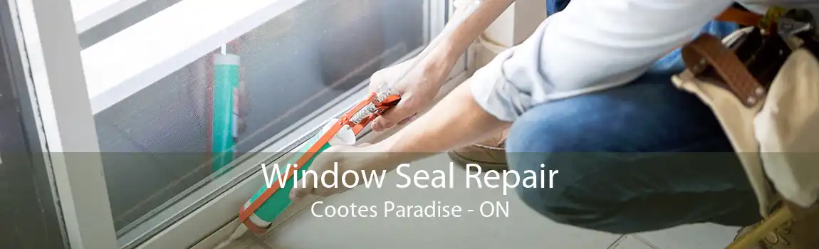 Window Seal Repair Cootes Paradise - ON