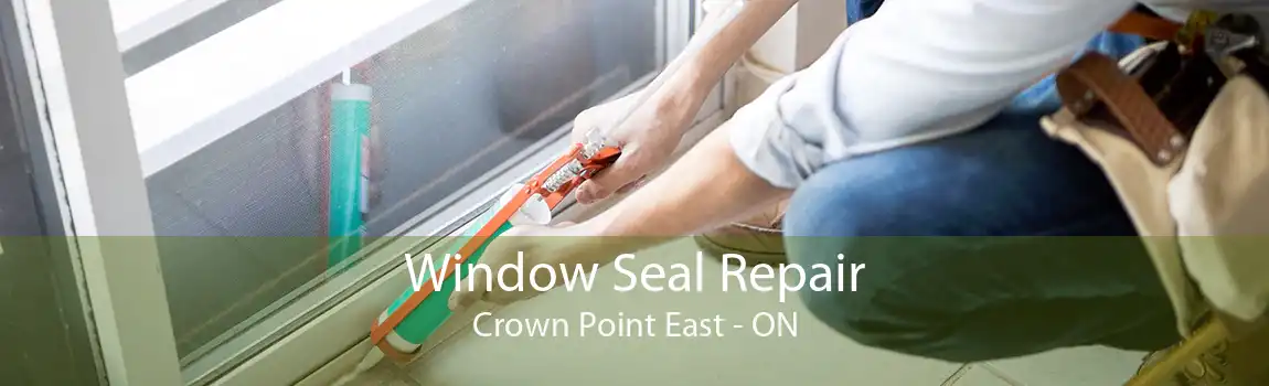 Window Seal Repair Crown Point East - ON