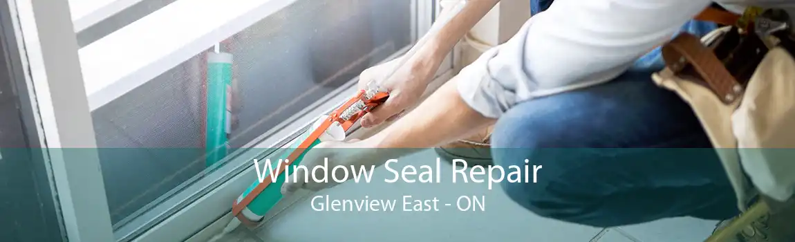 Window Seal Repair Glenview East - ON