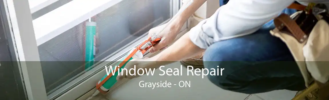 Window Seal Repair Grayside - ON