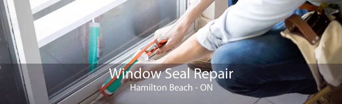 Window Seal Repair Hamilton Beach - ON