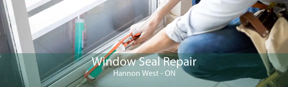 Window Seal Repair Hannon West - ON