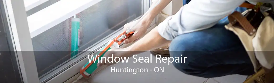 Window Seal Repair Huntington - ON