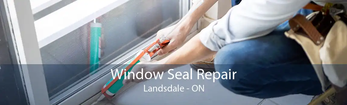 Window Seal Repair Landsdale - ON