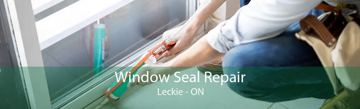 Window Seal Repair Leckie - ON