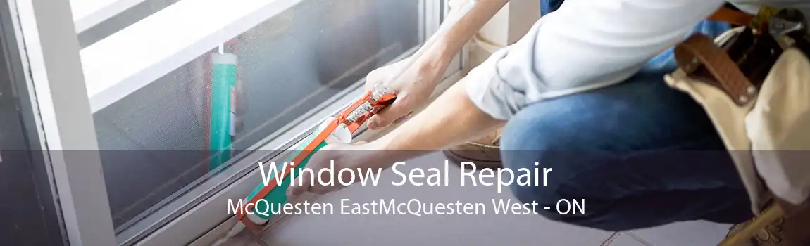 Window Seal Repair McQuesten EastMcQuesten West - ON
