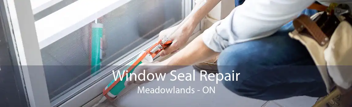 Window Seal Repair Meadowlands - ON