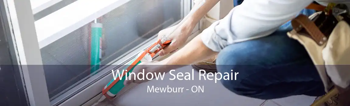 Window Seal Repair Mewburr - ON