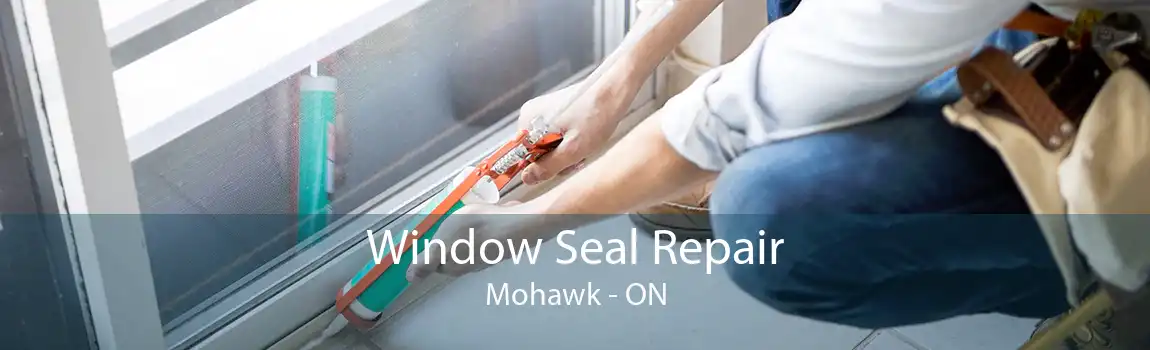 Window Seal Repair Mohawk - ON