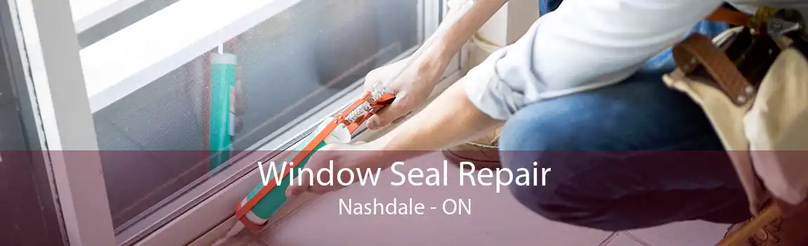 Window Seal Repair Nashdale - ON