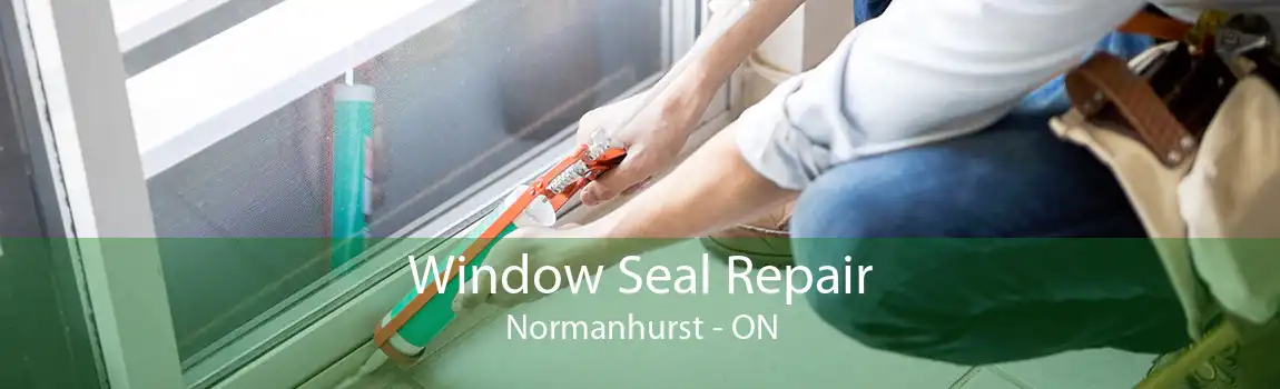 Window Seal Repair Normanhurst - ON