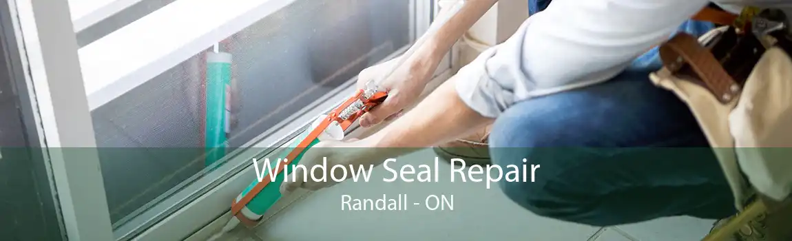 Window Seal Repair Randall - ON