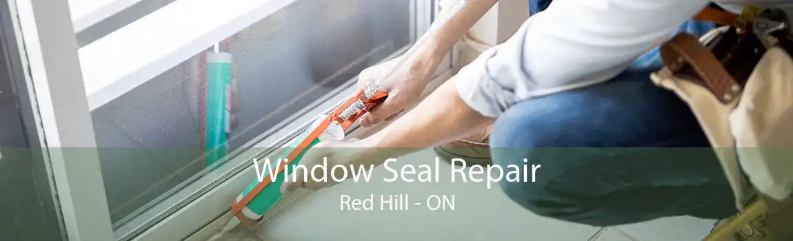 Window Seal Repair Red Hill - ON