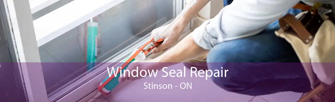 Window Seal Repair Stinson - ON