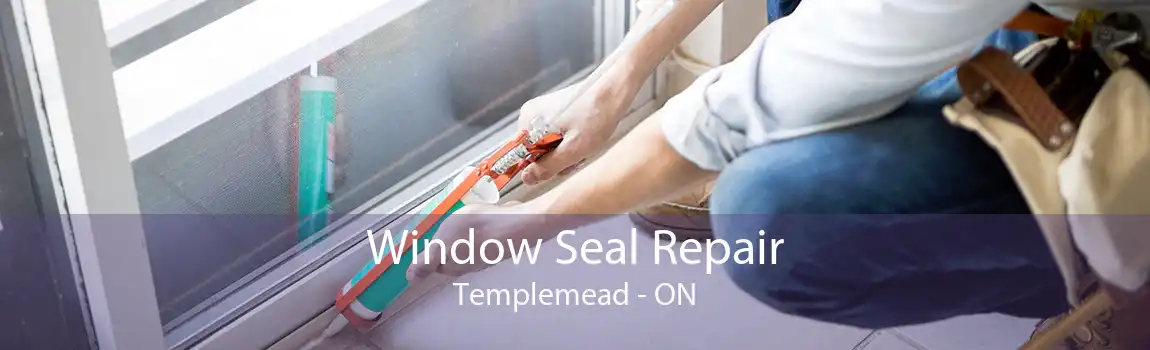 Window Seal Repair Templemead - ON