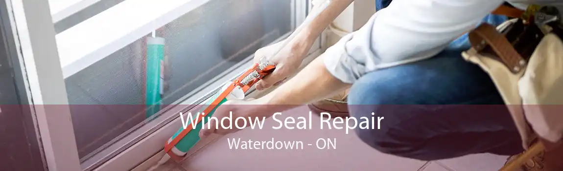 Window Seal Repair Waterdown - ON