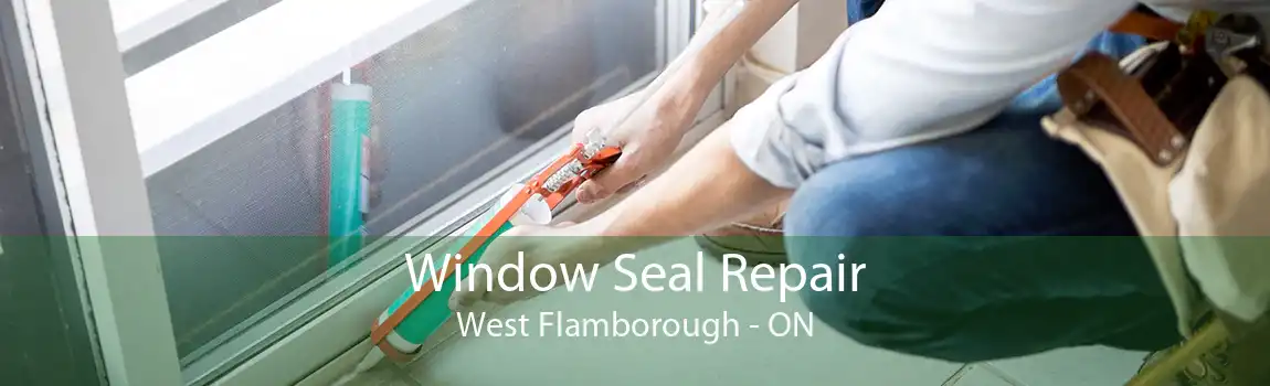 Window Seal Repair West Flamborough - ON