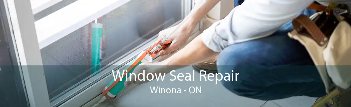 Window Seal Repair Winona - ON